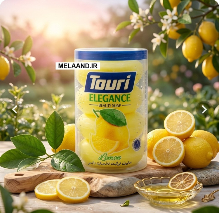 بسته ۴ عددی صابون زیبایی توری عطریرمدل ELEGANCE ساخت اردن