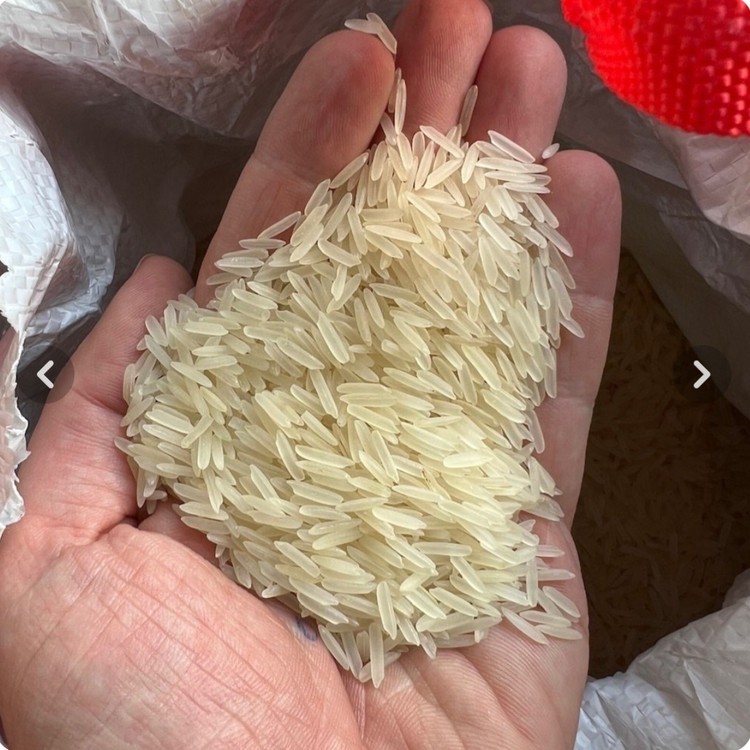 برنج باسماتی سیلا طلایی ۱۱۲۱ خاطره ، کیسه ۱۰ کیلویی پلمپ و دو دوخت اصلی