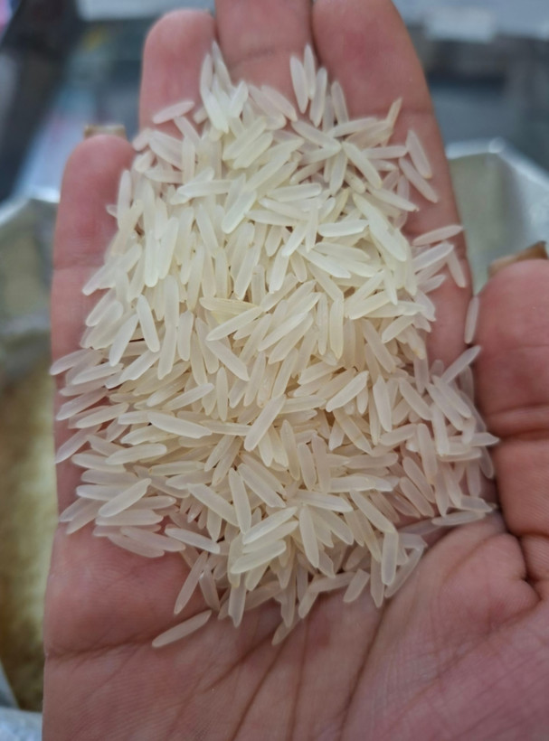 برنج دانه بلند باسماتی محسن ، کیسه ۱۰ کیلویی اصلی ( پلمپ و دو دوخت شرکتی))