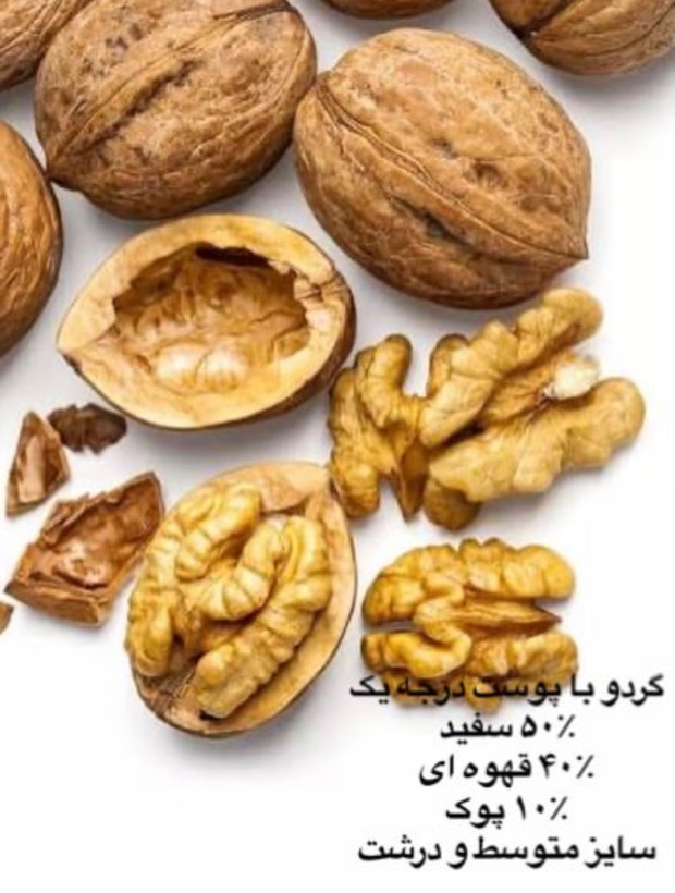 گردوی ۱۰۰٪ ایرانی تازه و پوست کاغذی ، محصول ۱۴۰۵ کاملا ارگانیک و طبیعی ( غیر تراریخته) با مغز سفید و روغنی
